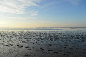 Das UNESCO Weltnaturerbe Wattenmeer an der niedersächsischen Nordseeküste in Ostfriesland.